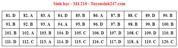 Gợi ý lời giải đề thi tốt nghiệp THPT 2023 bài tổ hợp Khoa học Tự nhiên