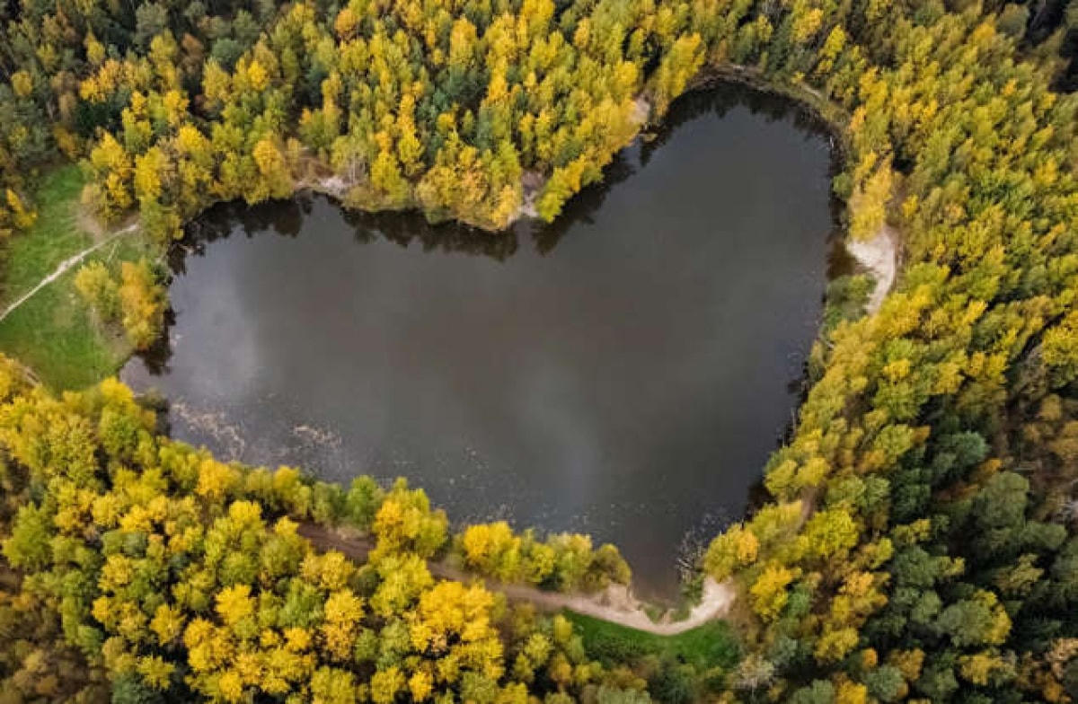 Một hồ nước hình trái tim được những bao quanh bởi những hàng cây ở Balashikha, khu vực Moscow, Nga.