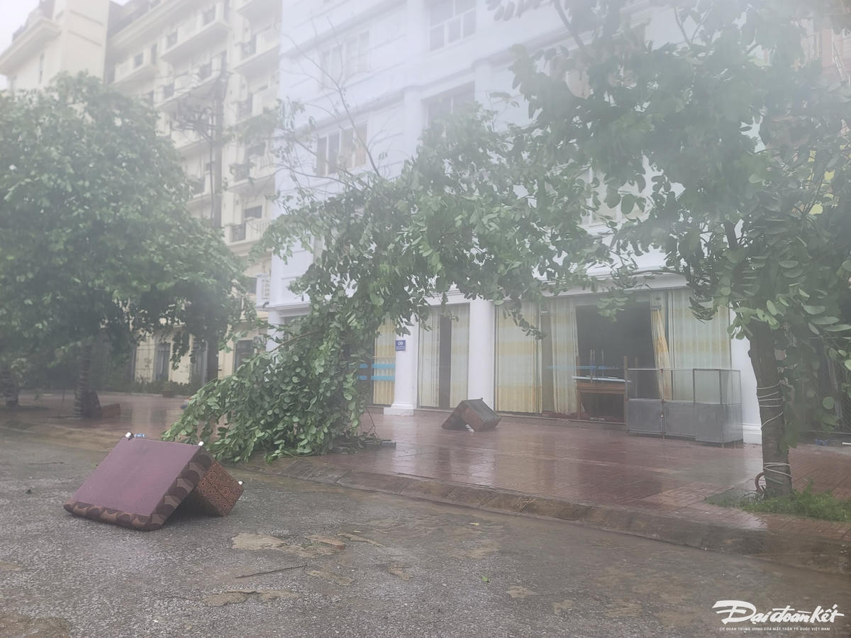 Ghế sofa của một nhà hàng bị gió cuốn ra ng đường. Ảnh: Quốc Thanh.