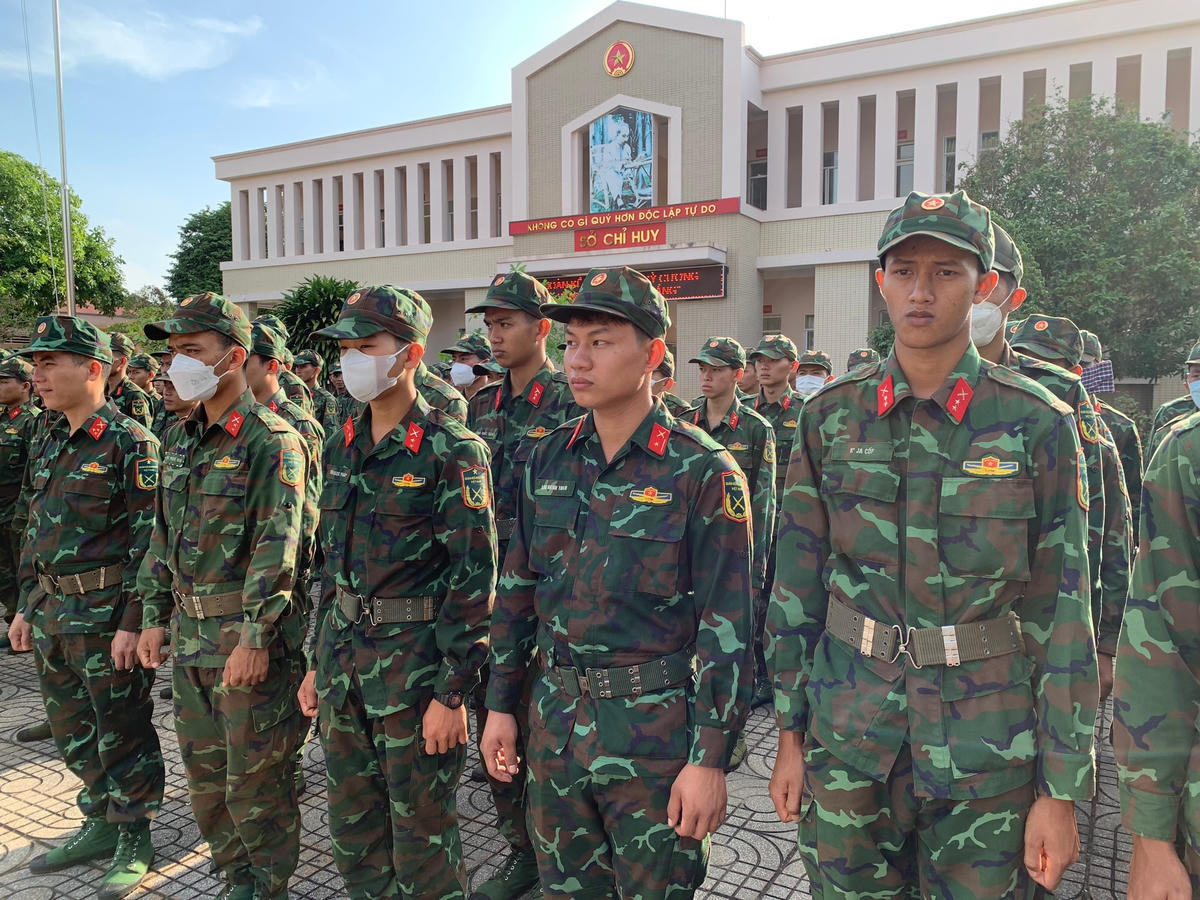 Gần 300 cán bộ, chiến sĩ của Sư đoàn 302 - Quân khu 7 đã phối hợp cùng lực lượng dân quân thường trực địa phương cùng với người dân huyện Châu Đức thu hoạch hồ tiêu. (Ảnh: T.Bình).