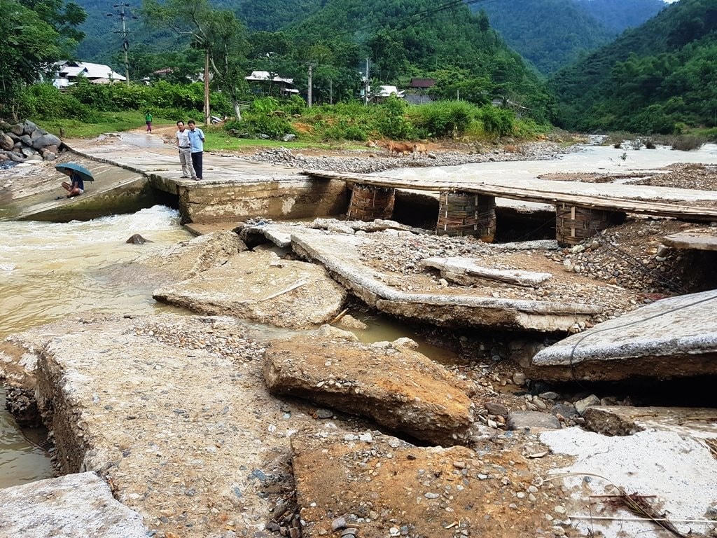 anh-bai-duoi.jpg