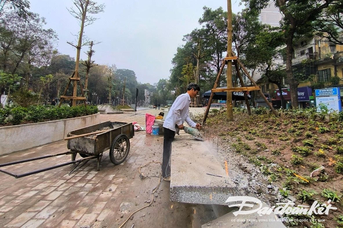 W_vuon_hoa_hang_dau-le-khanh11.jpg