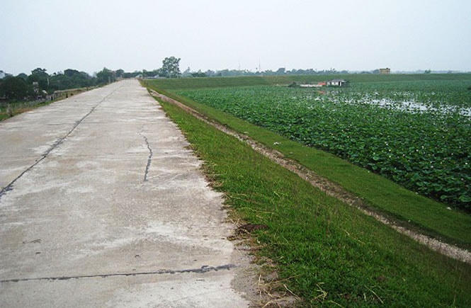 Đê hữu hồng đoạn qua huyện Thanh Trì, Hà Nội. Ảnh: hanoimoi.com.vn.