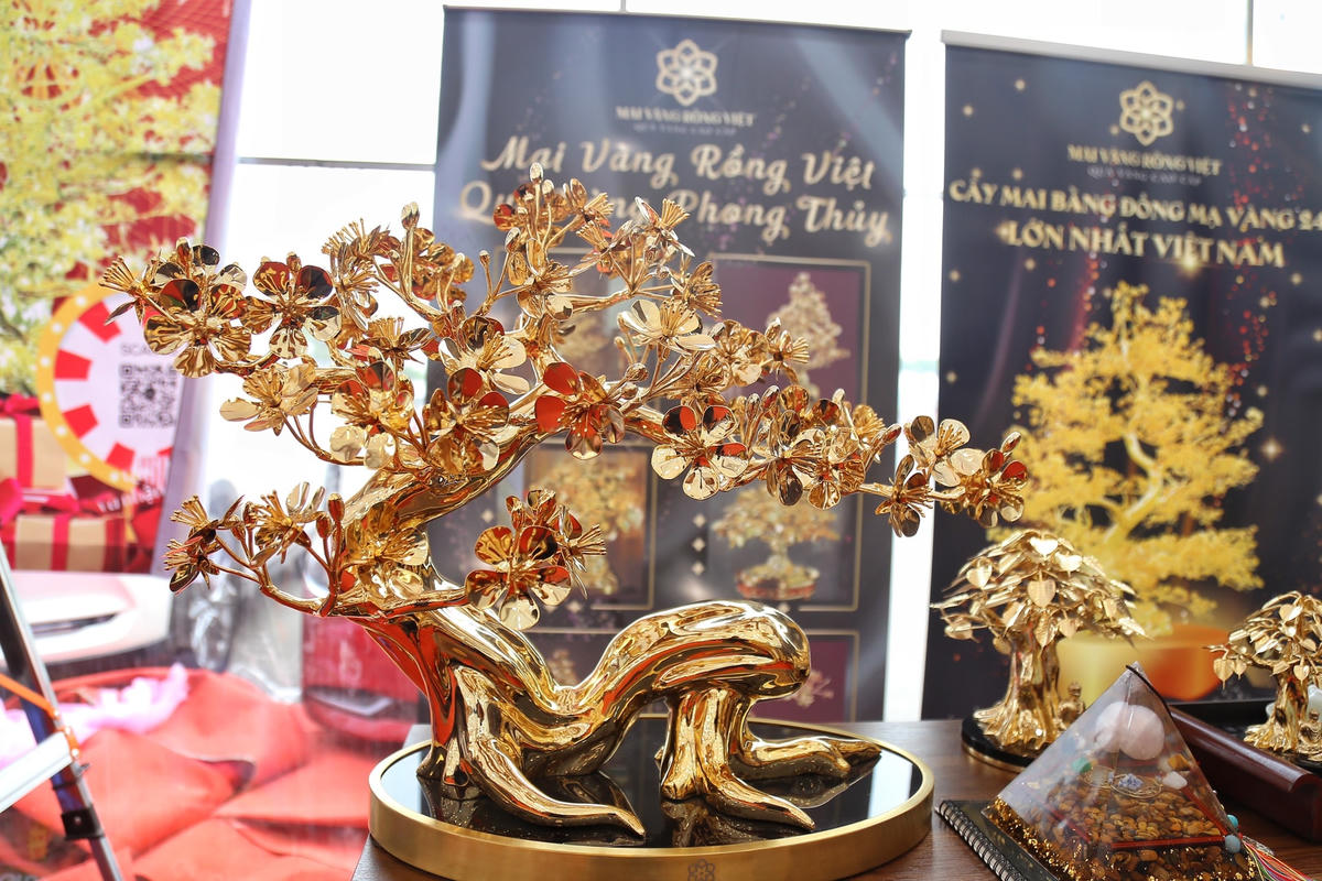 Mỗi cây mai mạ vàng lại có một dáng thế khác nhau.
