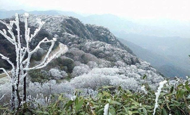 TIN GIÓ MÙA ĐÔNG BẮC VÀ RÉT