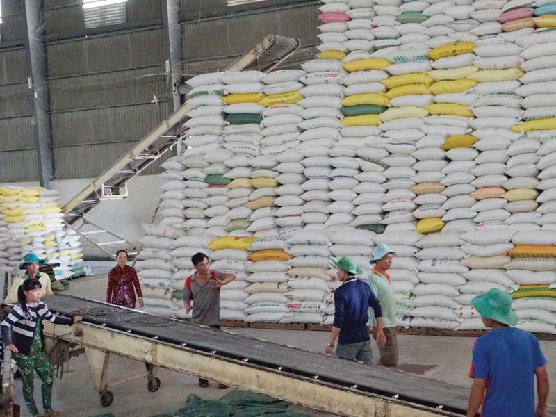 Xuất khẩu gạo của Việt Nam tăng mạnh.