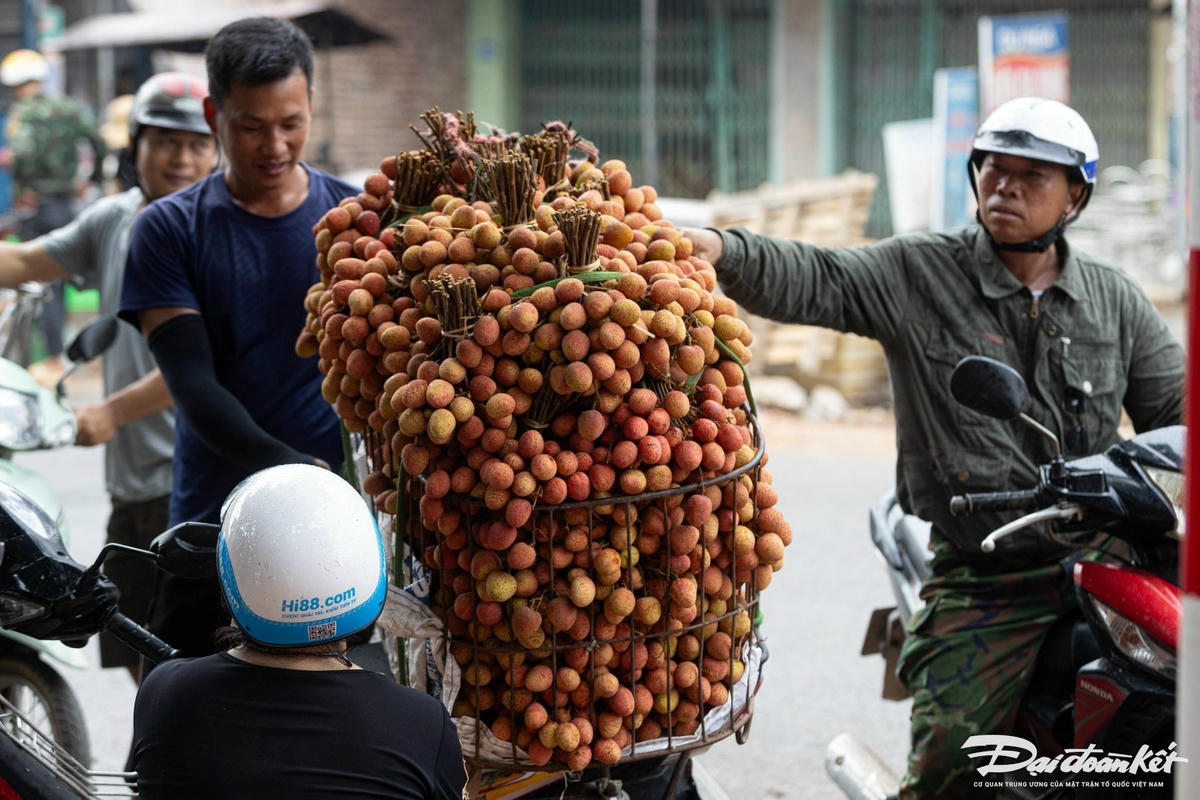 ban_vai-le-khanh16.jpg