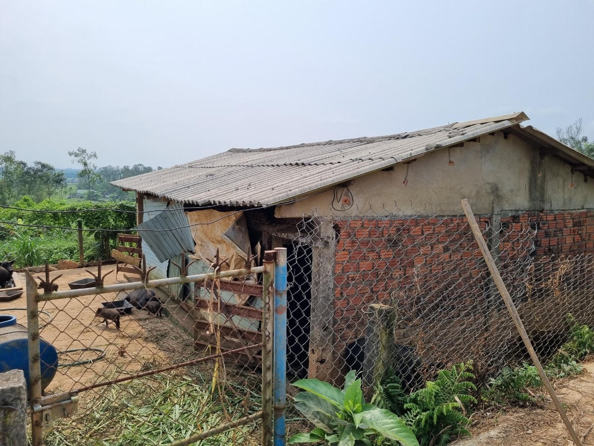 Khu chăn nuôi thuộc trang trại của ông Lê Văn Ninh.