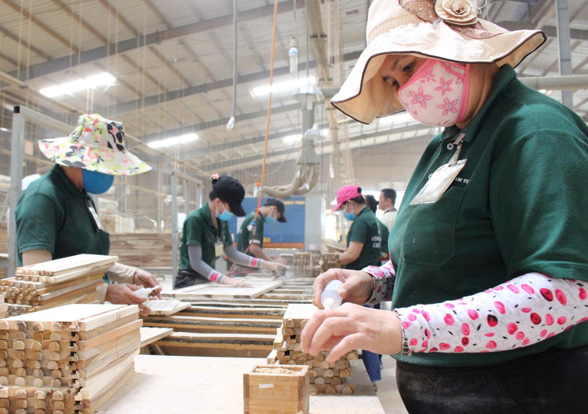 Việc thiếu nguồn nguyên liệu cũng như hạn chế trong tiếp cận thị trường đã khiến ngành gỗ chưa thu về hiệu quả mong muốn.