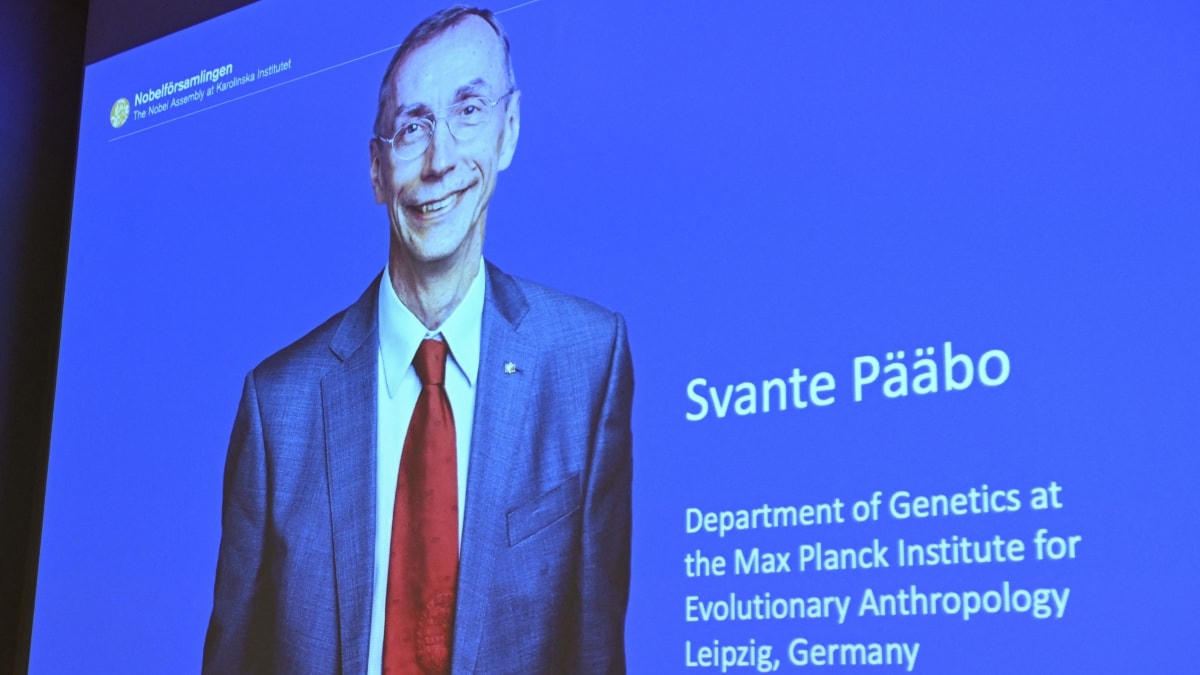 Chân dung nhà khoa học Thụy Điển đoạt giải Nobel Y sinh 2022 Svante Paabo tại Viện Karolinska ở Stockholm (Thụy Điển), ngày 3/10/2022. Ảnh: AFP/TTXVN.