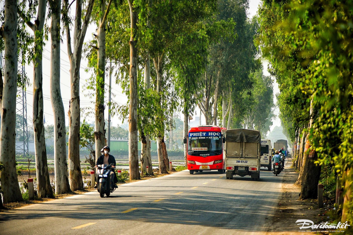W_duong_70-le-khanh11.jpg