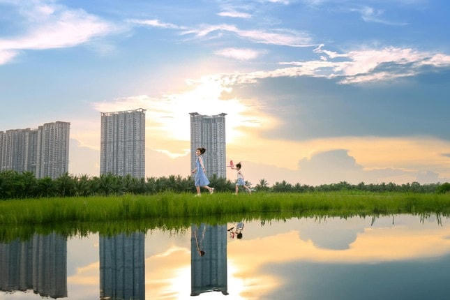 Ông bố kể chuyện tìm thấy nơi ở 'định mệnh' cho cả gia đình sau một lần đi lạc ảnh 3