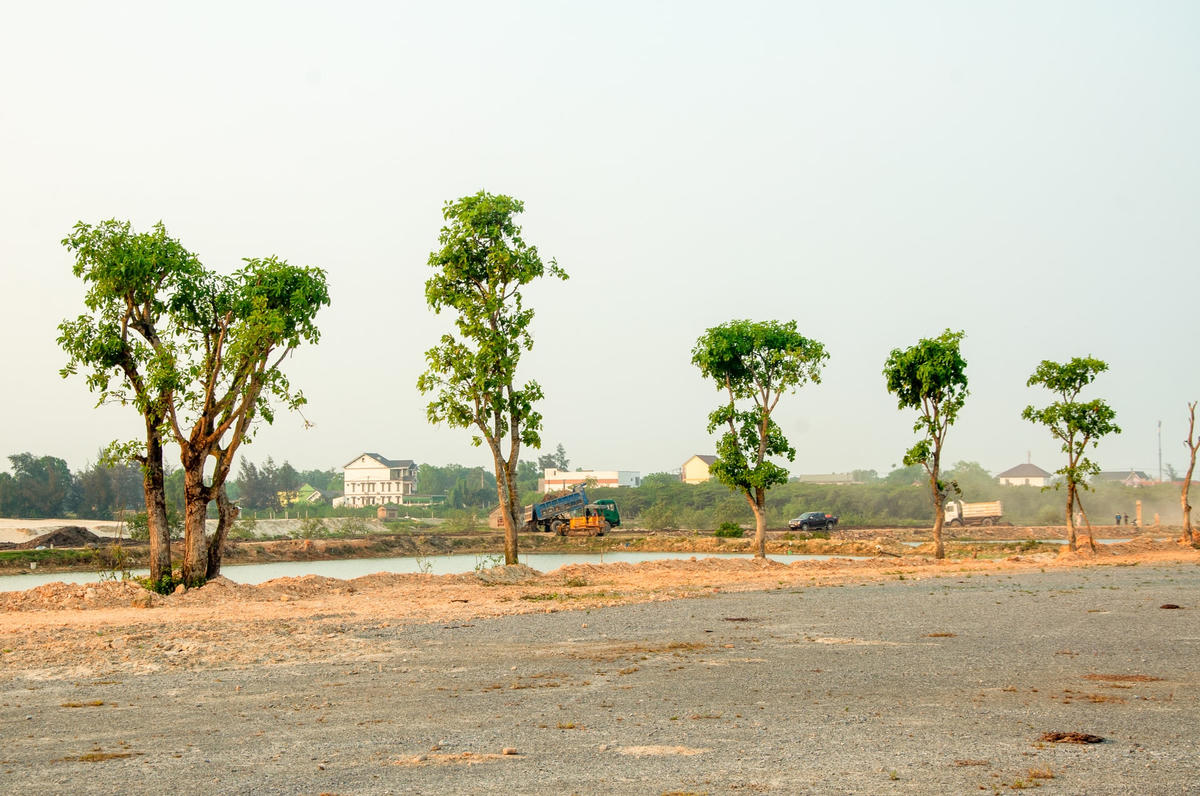 Và, trồng một số cây xanh…