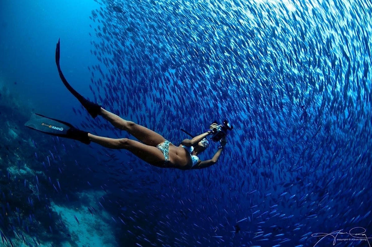 Hình ảnh được nhiếp ảnh gia Aaron Wong chụp tại quốc đảo Seychelles, Ấn Độ Dương. Bức ảnh mang tên "Sự bùng nổ của sự sống dưới nước". Ảnh: Aaron Wong.  