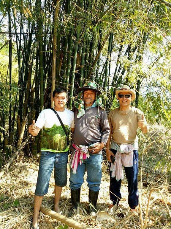 Anh Đoàn Minh Nhân (bên trái) trong lần đi tìm giống tre.  