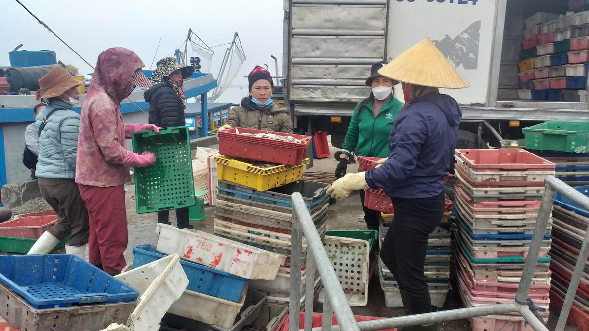 Cảng cá Cửa Sót (Thạch Kim, Lộc Hà, Hà Tĩnh) tấp nập ngay từ những ngày đầu năm.