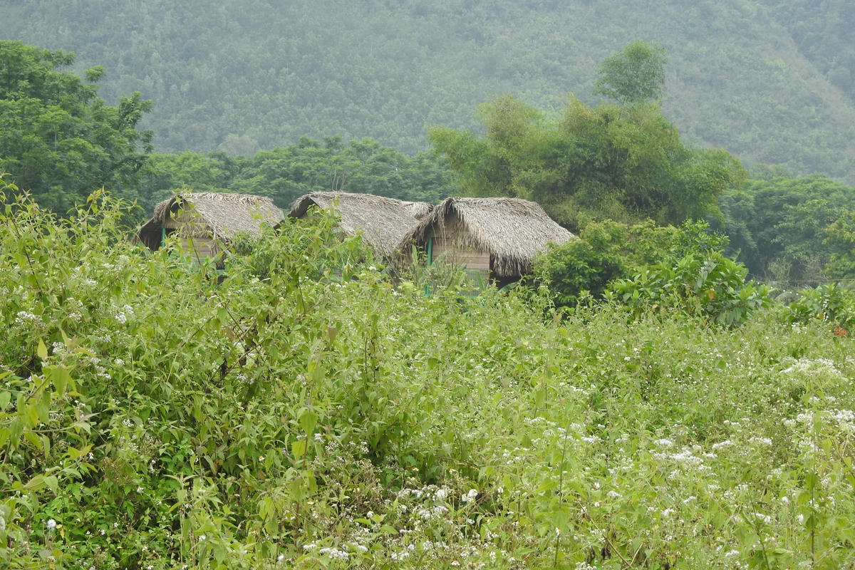 Chòi du lịch giữa cỏ hoang. Ảnh Thanh Tùng.