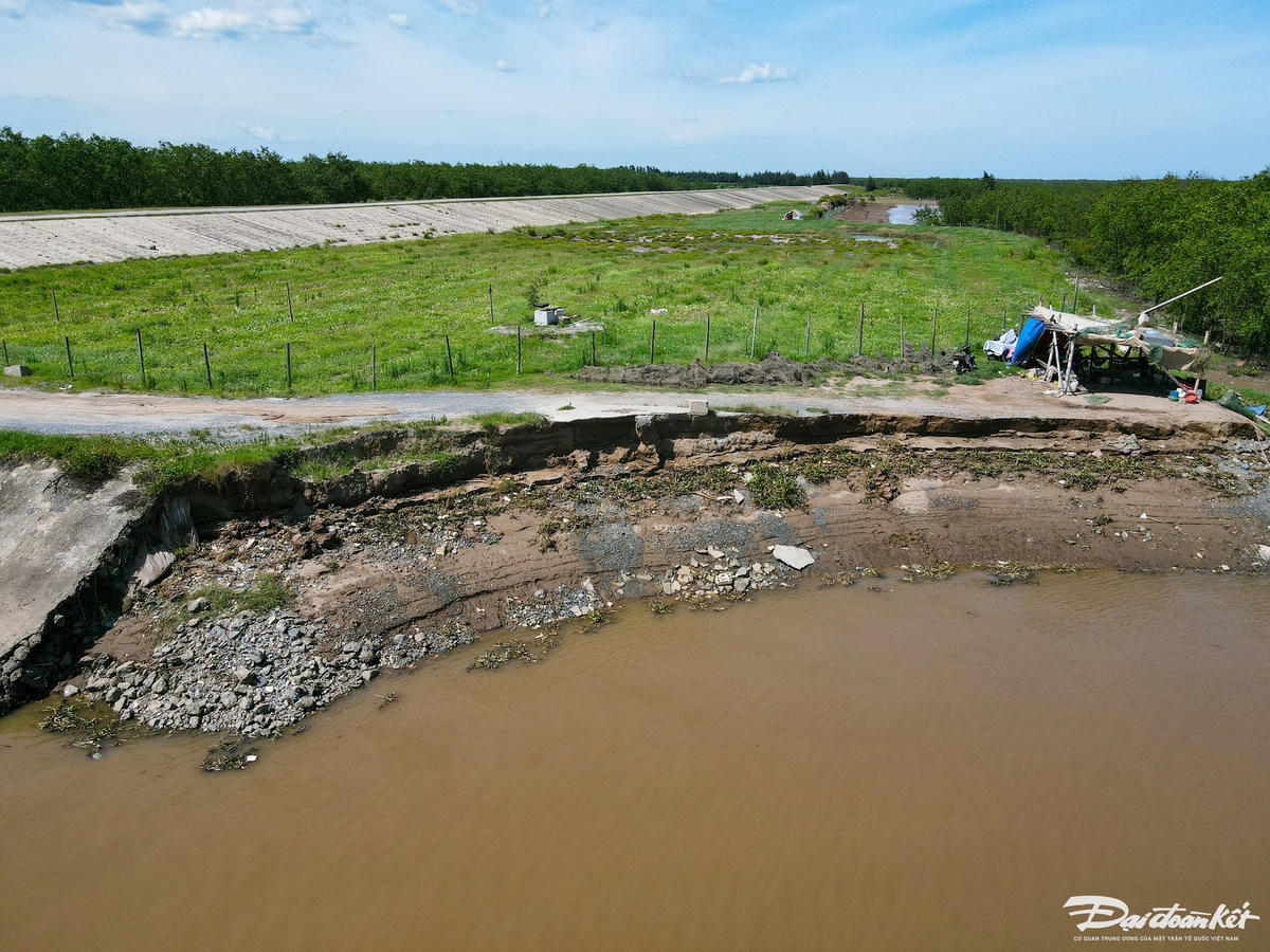 dji_fly_20250602_141558_702_1748848662936_photo.jpg