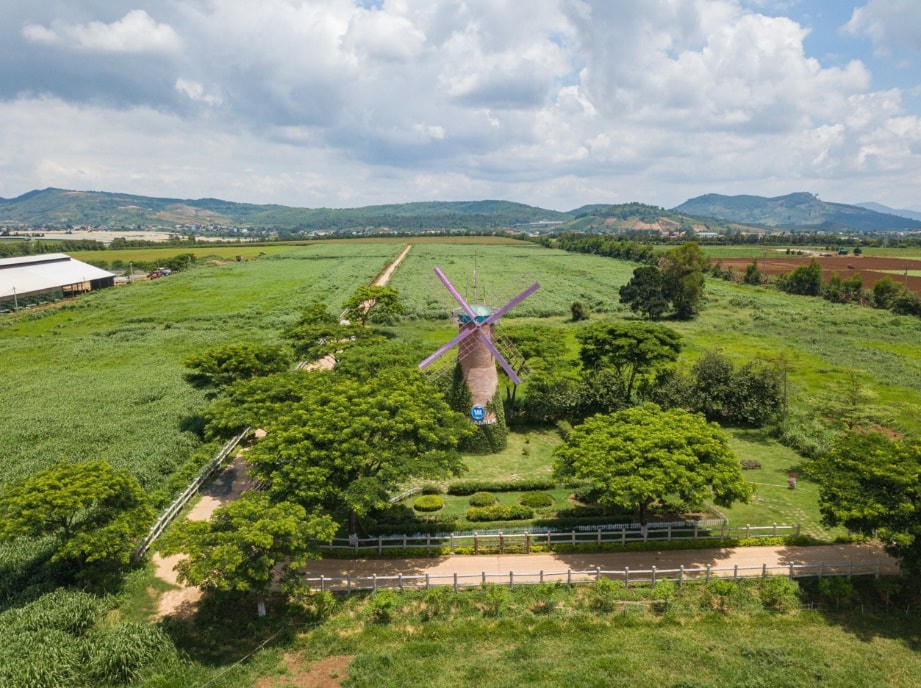 Không gian xanh mát, trong lành tại trang trại bò sữa Vinamilk Organic Đà Lạt.