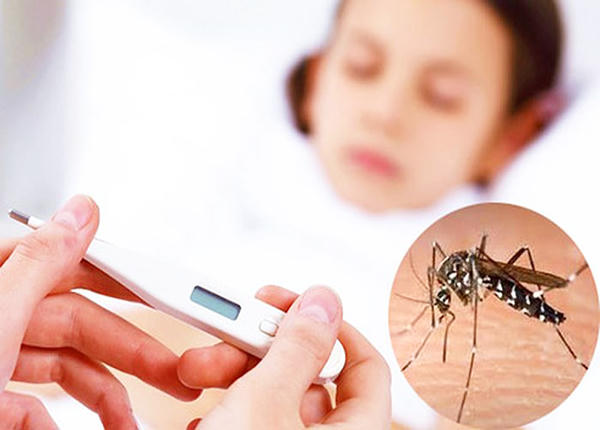Hầu hết những người mắc bệnh sốt xuất huyết dengue sẽ không có triệu chứng hoặc triệu chứng nhẹ.