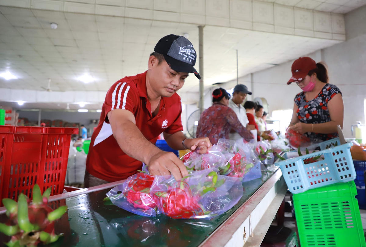 Minh bạch thông tin sản phẩm để bảo vệ thương hiệu. Ảnh: Quang Vinh.