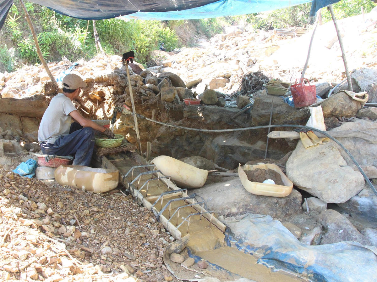 Một phu vàng đang đãi quặng tìm vàng.