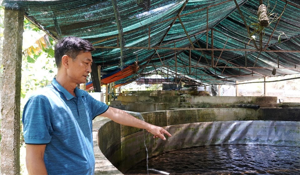 Trước khi đến với những dòng cá "quý tộc", ông Sâm từng qua nhiều nghề, từ giảng viên đến lái xe, còn có thời gian đi lao động ở nước ngoài. 