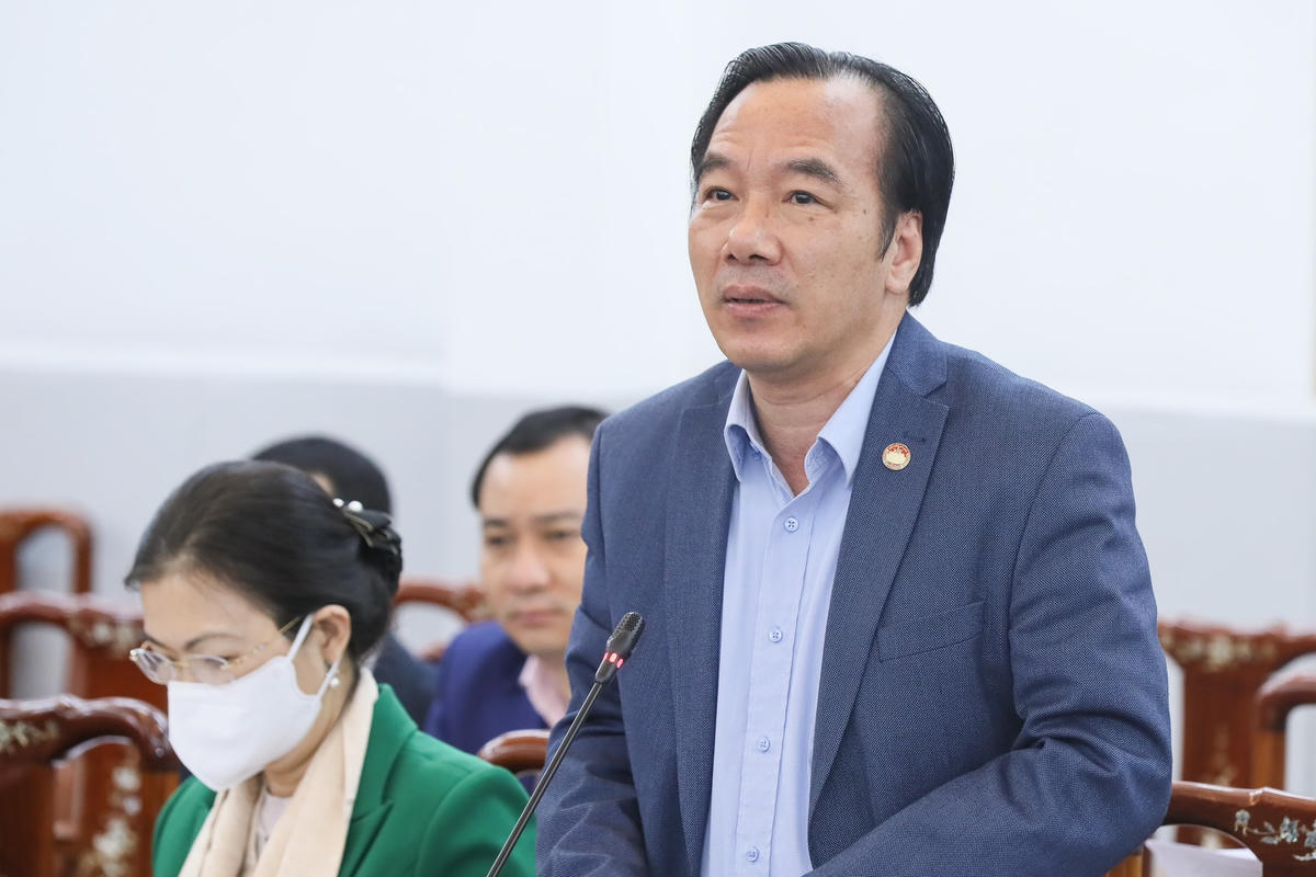 Phó Chủ tịch Ngô Sách Thực phát biểu tại buổi làm việc.