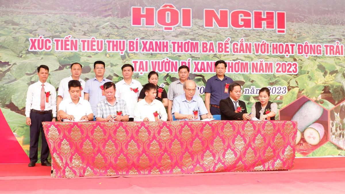 Hội nghị Xúc tiến tiêu thụ bí xanh thơm Ba Bể gắn với hoạt động trải nghiệm tại vườn bí.
