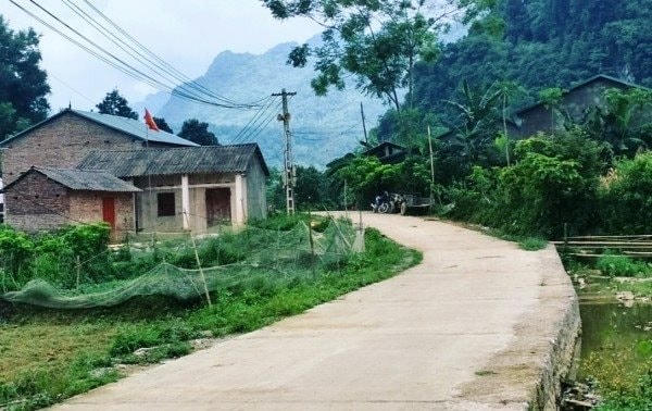 truong-luong-hoa-an.jpg