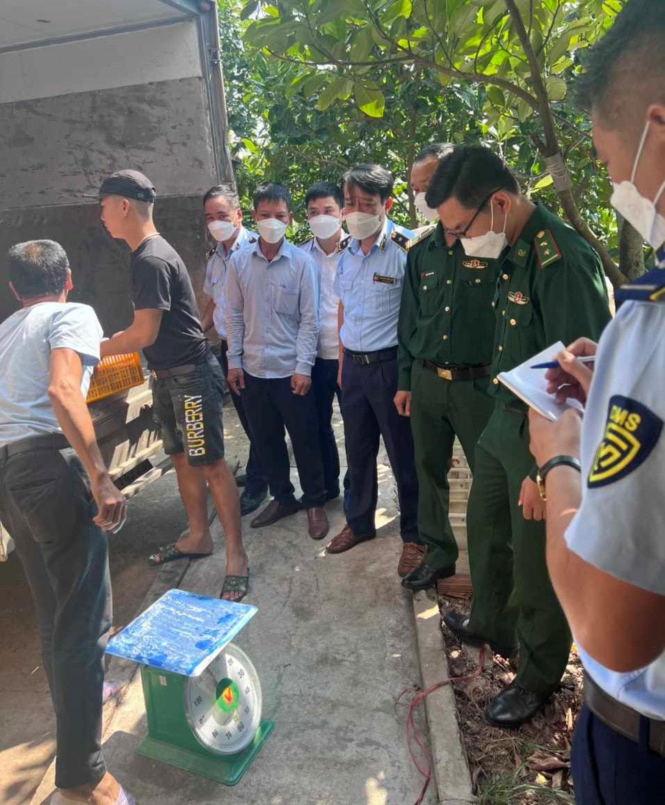 Các lực lượng chức năng tỉnh Thái Bình kiểm đếm số thực phẩm "bẩn".