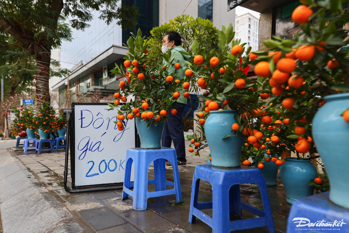 quat_dao-le-khanh52.jpg