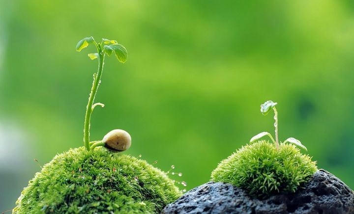 Lòng tốt vẫn ở quanh ta. Ảnh: Minh họa.