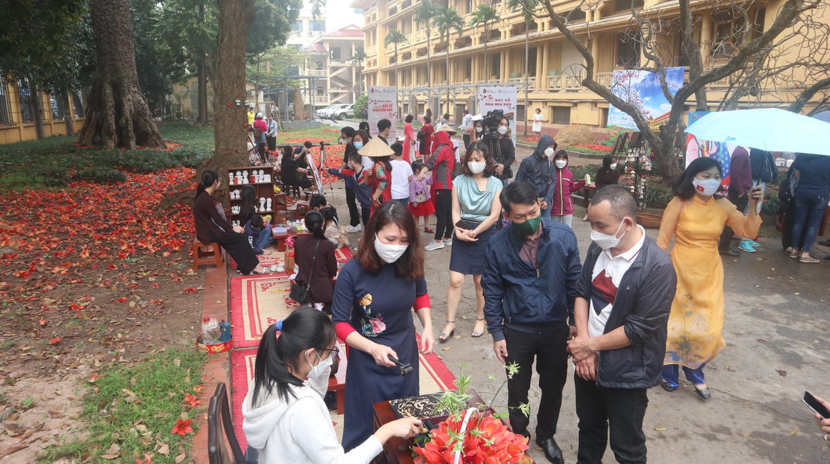 Tour “Bác Cổ - mùa hoa gạo” tại Bảo tàng Lịch sử Việt Nam.
