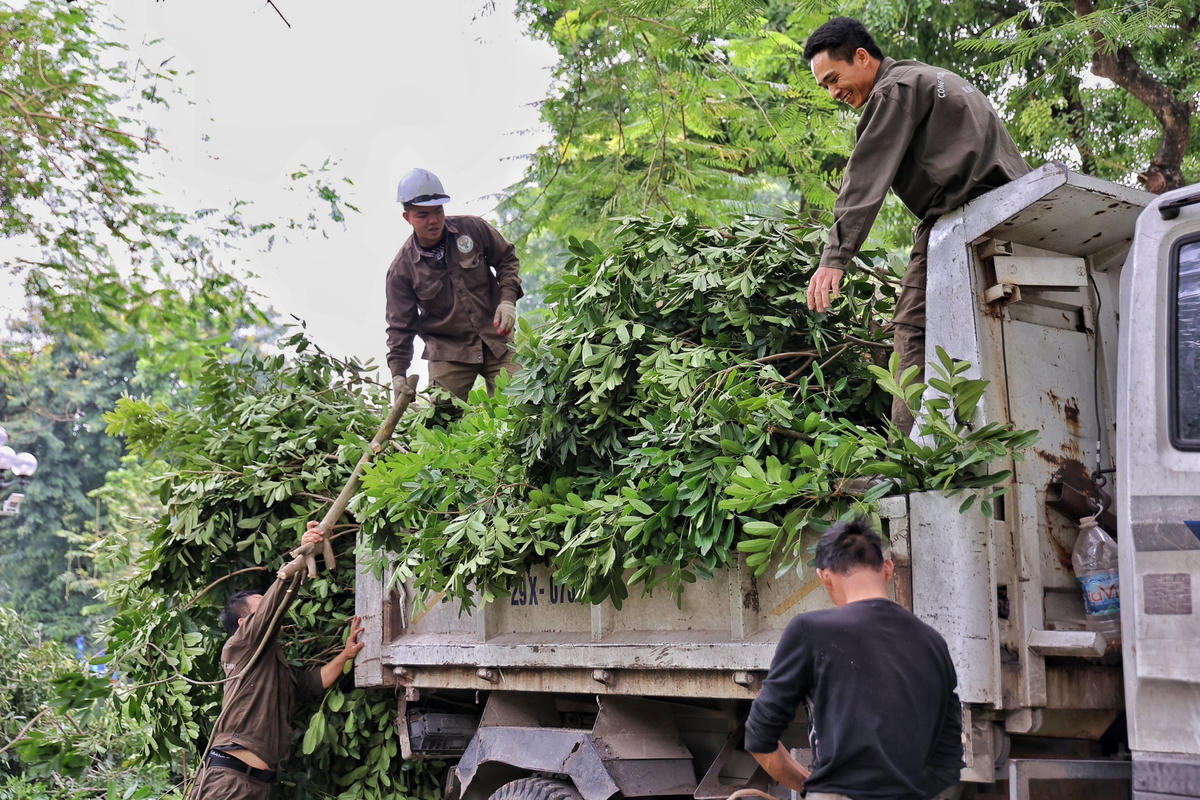Trong giai đoạn 1, không gian đi bộ hoạt động từ thứ Bảy đến Chủ nhật hằng tuần và các ngày lễ, sự kiện theo kế hoạch. 