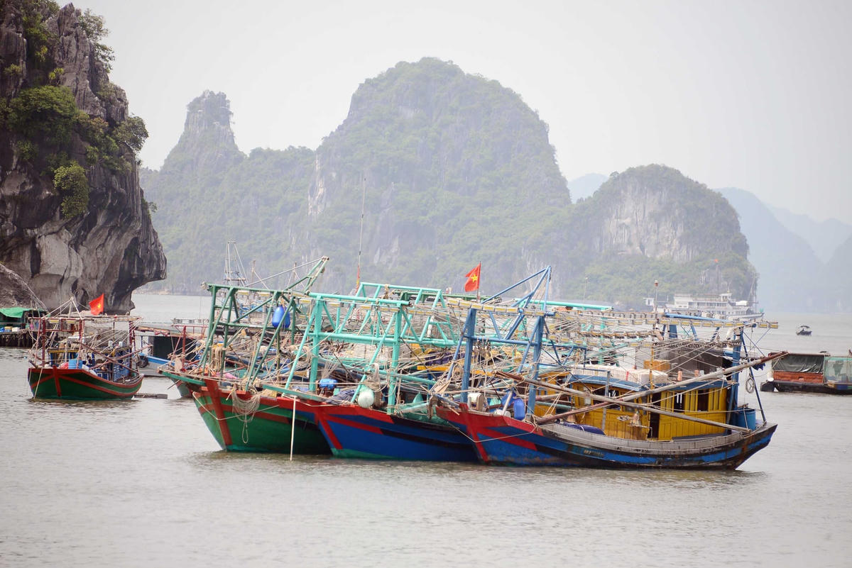 Với ngư dân Quảng Ninh, núi là nơi tốt nhất để che chở những con tàu trong cơn giông bão.