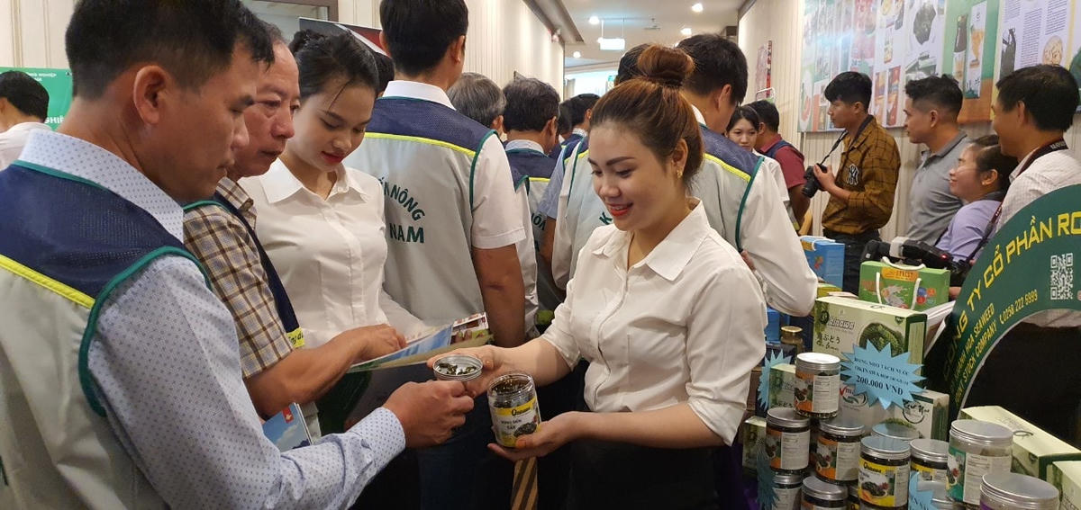Tìm hiểu các sản phẩm nông nghiệp tiêu biểu của tỉnh Khánh Hòa. 