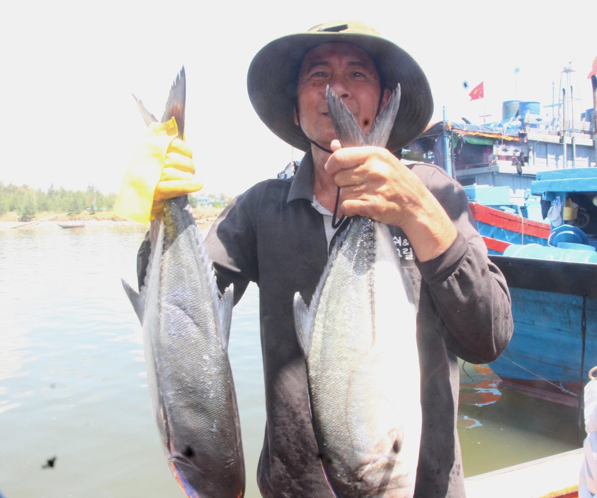 Ngư dân Võ Triêm vui mừng đánh bắt trúng mẻ cá bè.