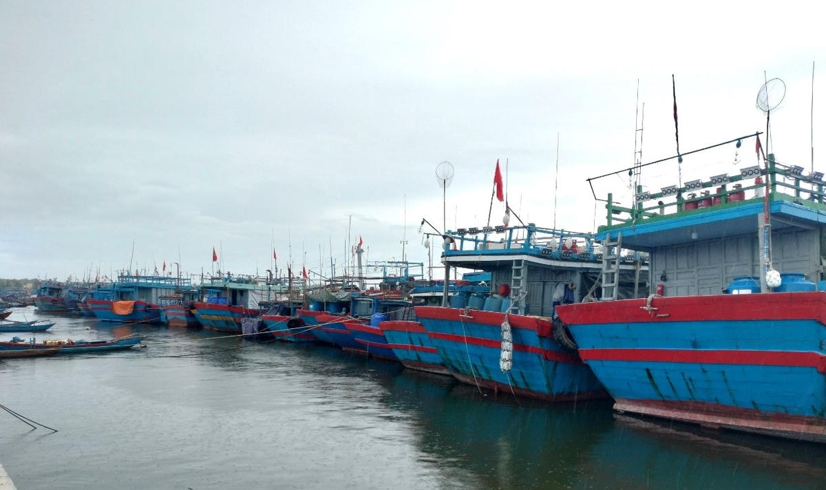 Nhiều tàu thuyền vào neo đậu trú bão ở âu thuyền An Hòa.