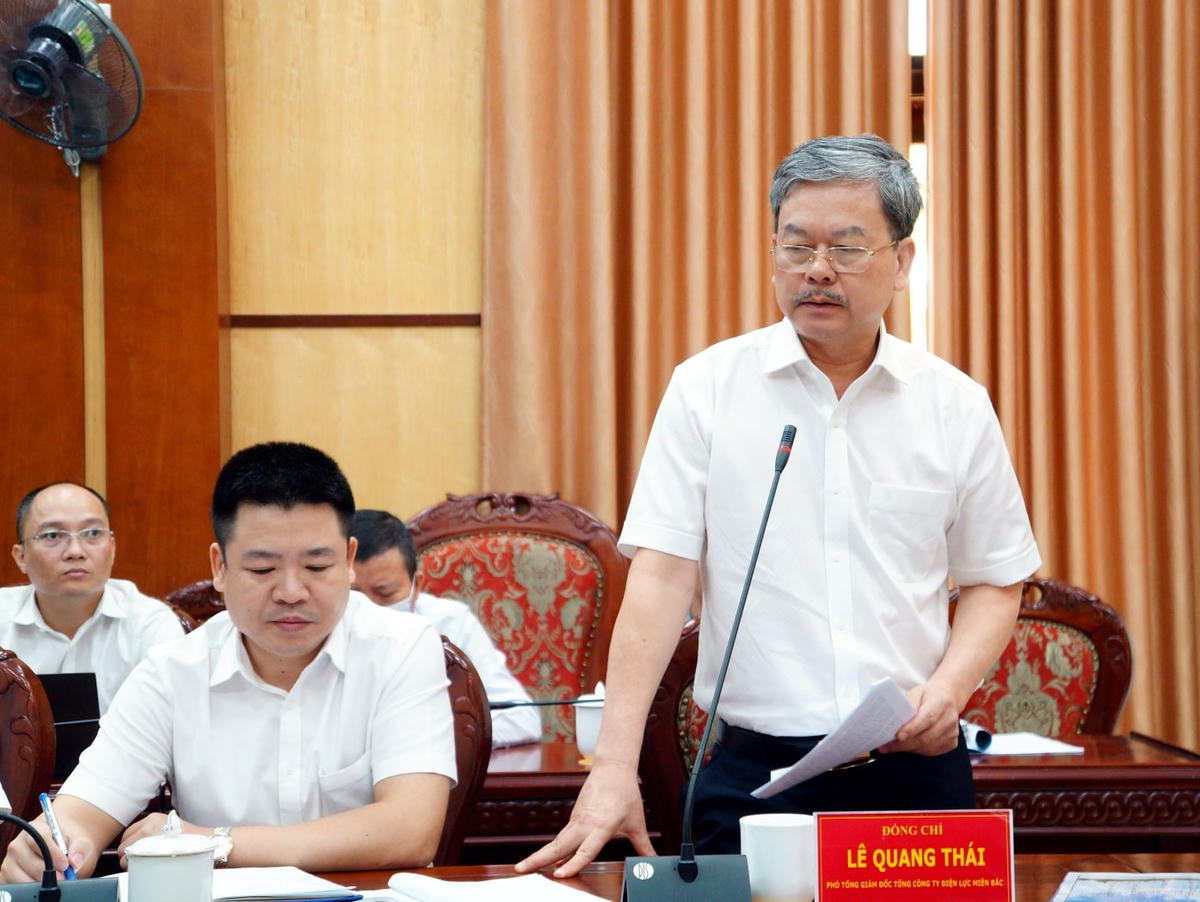 Ông Lê Quang Thái – Phó Tổng Giám đốc Tổng công ty Điện lực miền Bắc phát biểu tại Hội nghị Ban chỉ đạo bảo vệ an toàn hành lang lưới điện cao áp tỉnh Thanh Hóa.