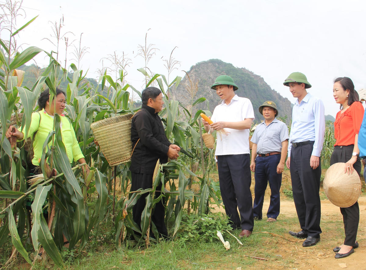 Nâng cao đời sống nhân dân trong vùng đồng bào dân tộc luôn được huyện Đồng Hỷ (tỉnh Thái Nguyên) đặc biệt quan tâm. Ảnh: Thu Lan.