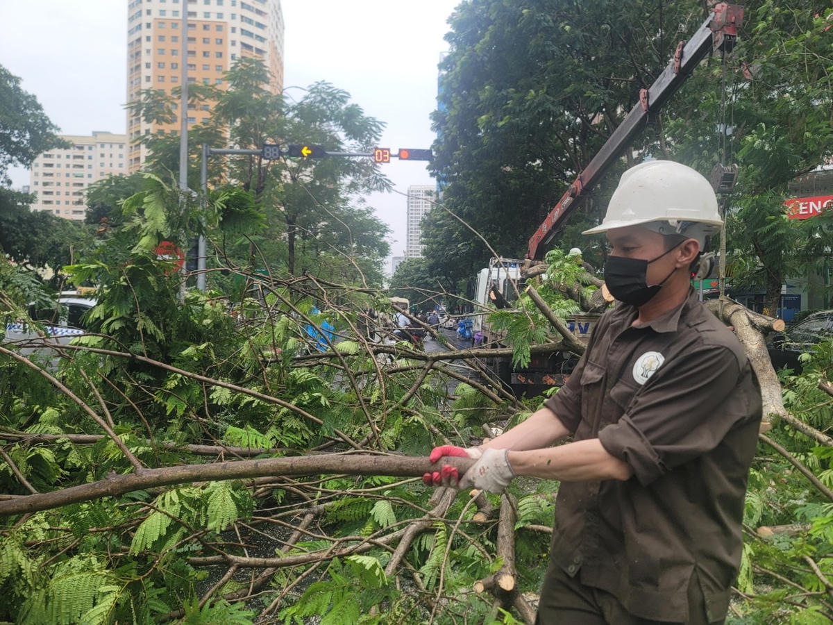 Anh Thành, 34 tuổi, nhân viên Công ty Công viên Cây xanh Hà Nội cho biết, hiện chủ xe chưa xuất hiện tại hiện trường. Nhận được tin báo, anh cùng các nhân viên khác đã nhanh chóng đến hiện trường thu dọn để đảm bảo an toàn giao thông.