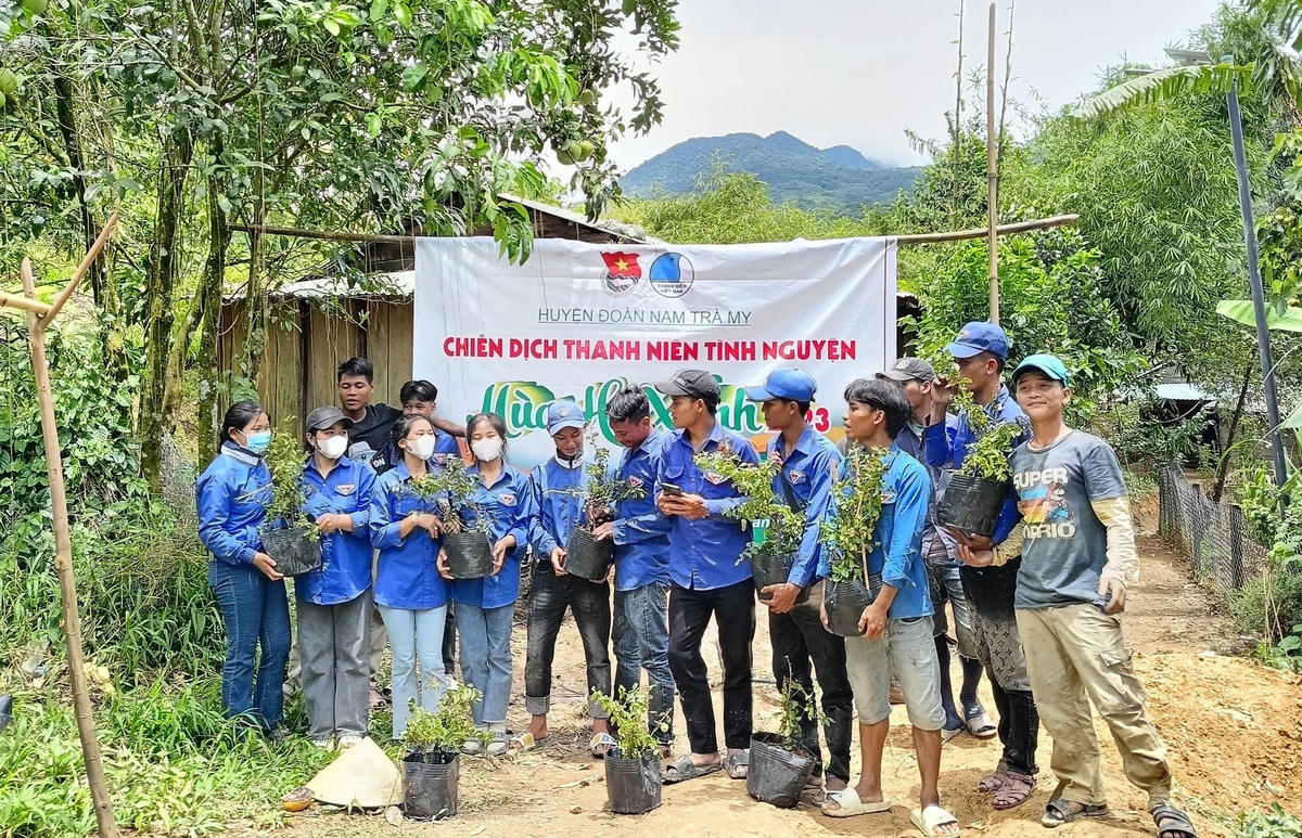 Đoàn viên thanh niên tham gia trồng cây xanh.