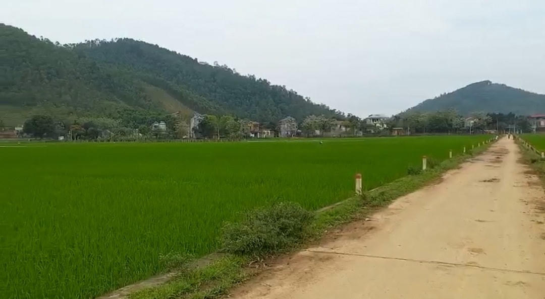 11.157.307,5 m2 đất thu hồi ở xã Đông Xuân, Tiến Xuân cho dự án Khu đô thị Sudico Tiến Xuân.