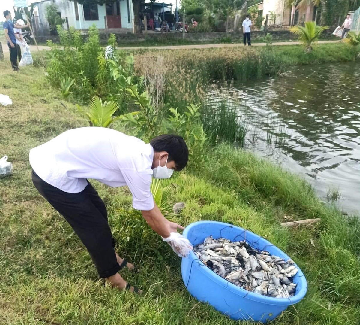 Người dân thu gom rất nhiều cá chết trên sông Châu Me.