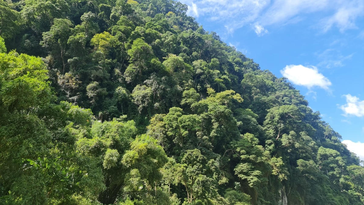 Hồ được bao bọc bởi những dãy núi đá vôi và có nhiều suối ngầm, hang động. Giá trị lớn nhất của Hồ Ba Bể là cảnh quan địa chất độc đáo, giá trị nổi bật về địa chất địa mạo và giá trị to lớn về đa dạng sinh học.