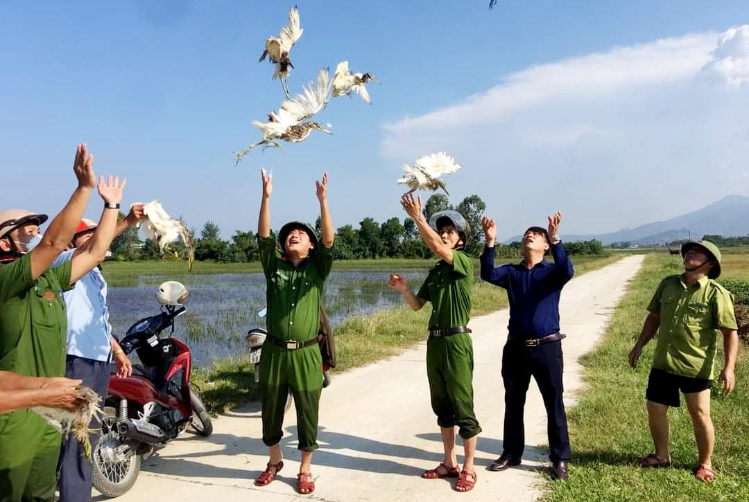  Tại các địa phương trên địa bàn huyện Nghi Xuân, lực lượng chức năng cũng tiến hành thả 137 cá thể chim trời về với tự nhiên.
