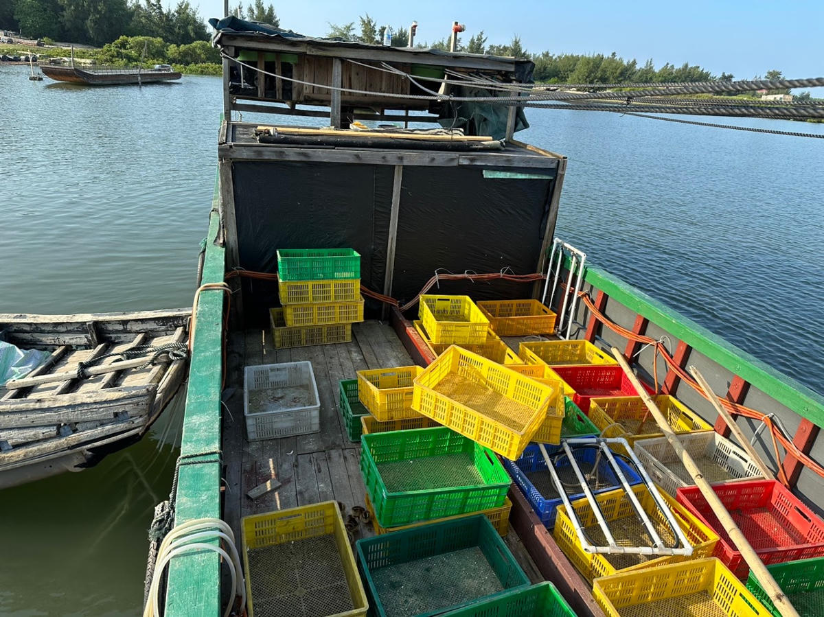 Phương tiện mà Nguyễn Thành Quý dùng để vận chuyển gần 18.000 con gà giống không rõ nguồn gốc.