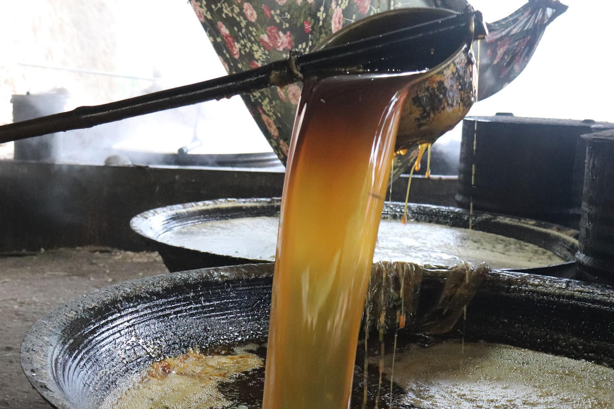 Những mẻ mật mía vàng óng, sánh mịn.