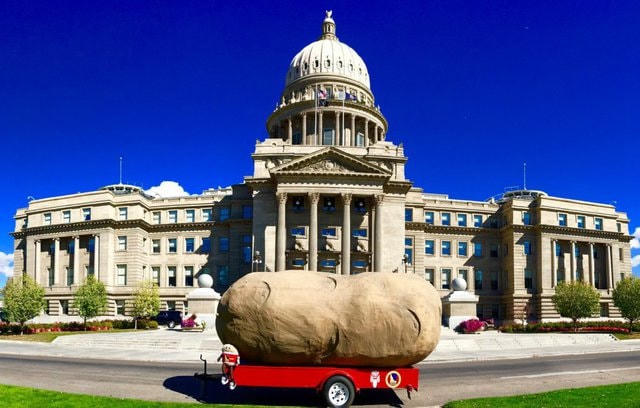 Củ khoai tây khổng lồ của bang Bang Idaho, Mỹ trong lễ hội GlowTato.